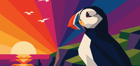 Puffin Paradise Video Section